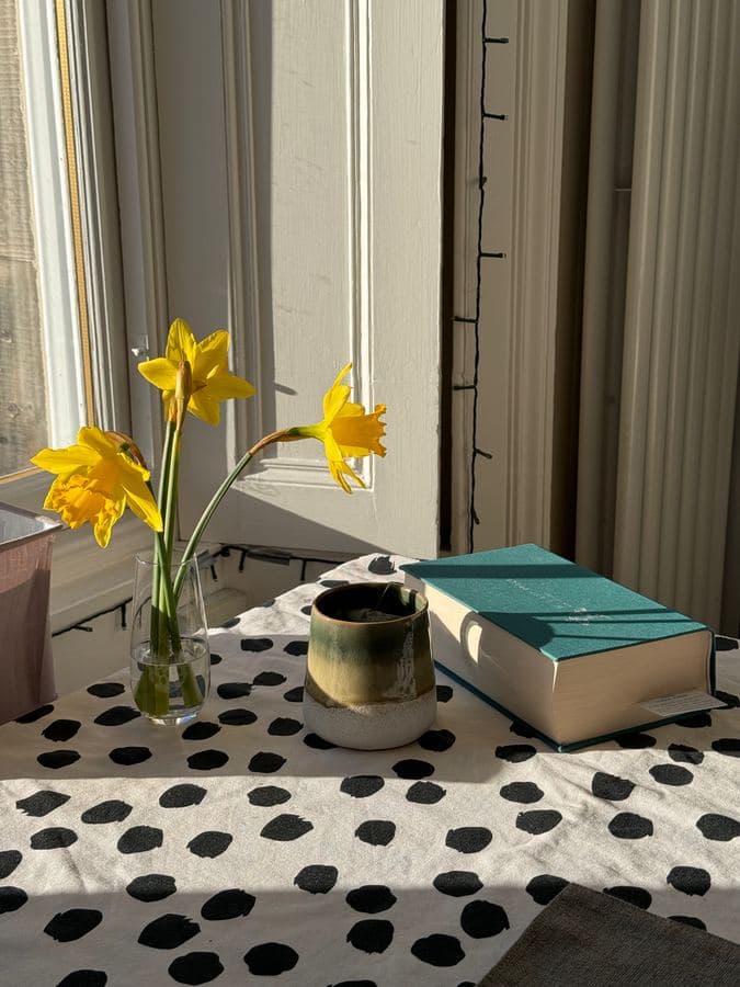 Morning: coffee, sun, and whatever is on the pile